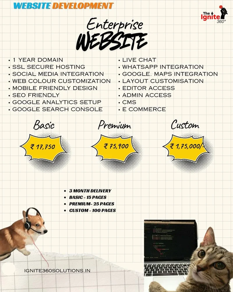 Enterprise Website Package